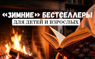 С книгой у камина С книгой у камина