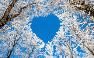 День, когда открывается небо День, когда открывается небо