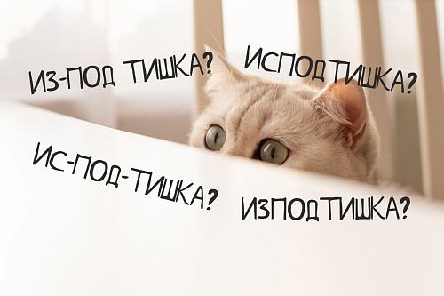 И(с/з)под/тишка: орфография, значение, история