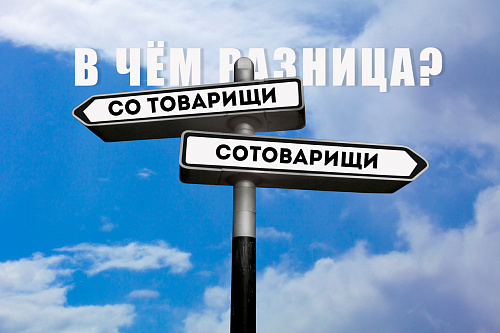 Со товарищи и сотоварищи. В чём разница?