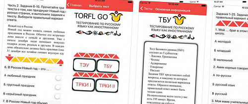  Внимание: TORFL GO!