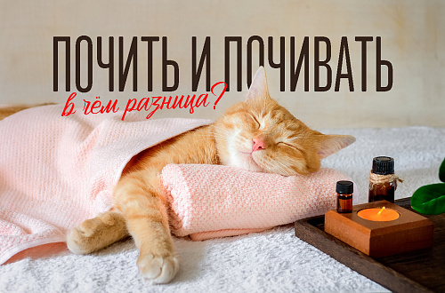 Почить и почивать: в чём разница?