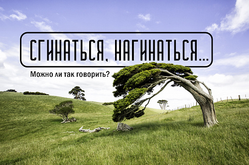 Сгинаться, нагинаться… Можно ли так говорить?