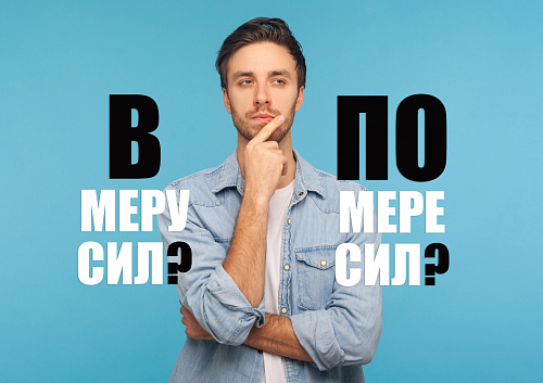 В меру сил или по мере сил?