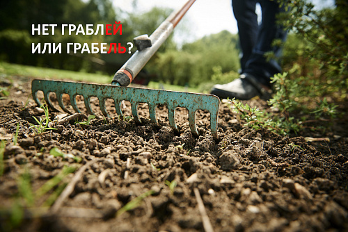 Нет граблей или грабель?