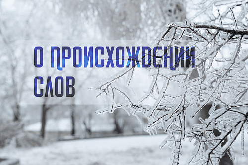 Мороз и стужа…