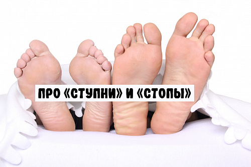 Сту́пни или ступни́, сто́пы или стопы́?
